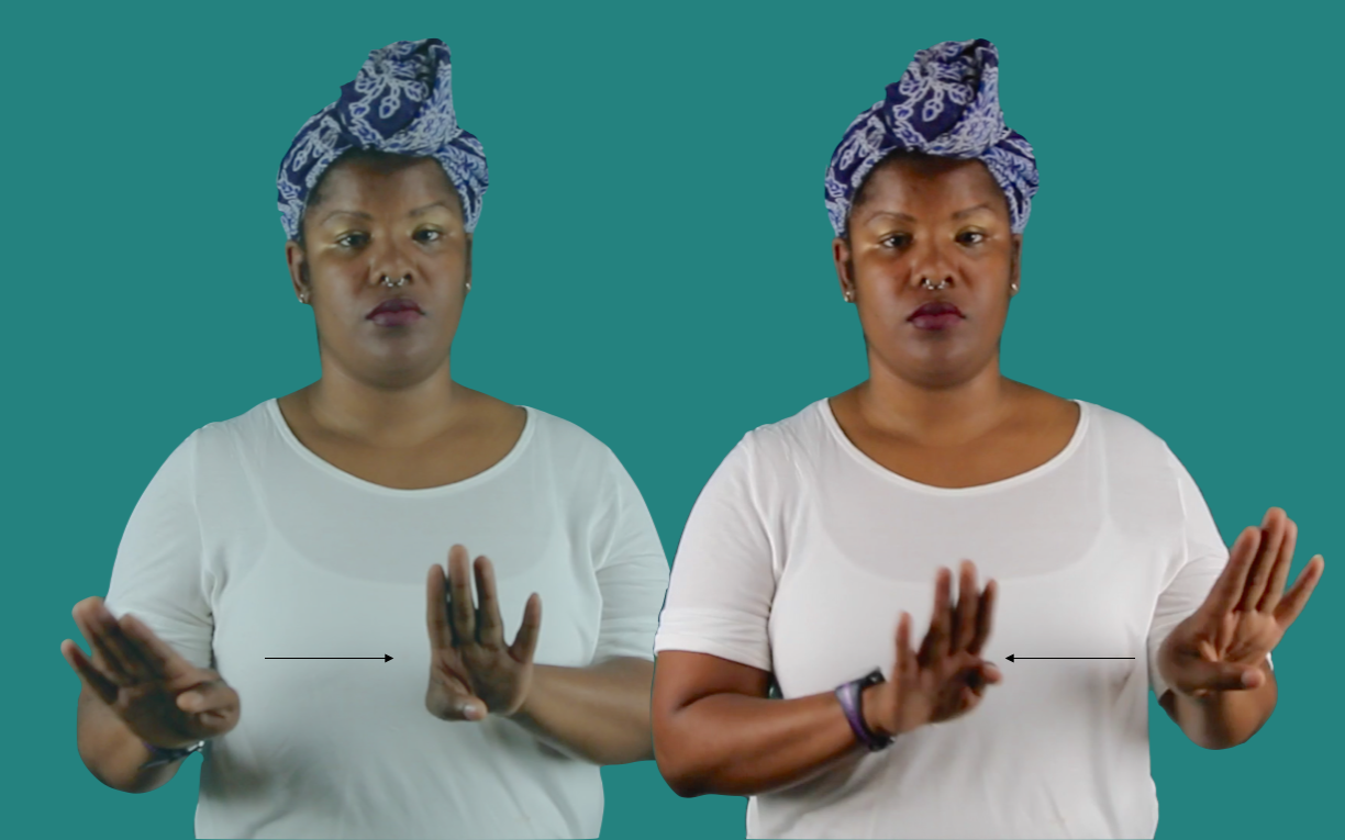Behavior Sign Language Sign for BEHAVIOR